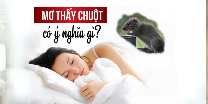 Giấc mộng mang nhiều điềm khác nhau