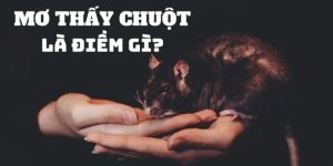 nằm mơ thấy chuột